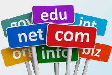 Domain Registration